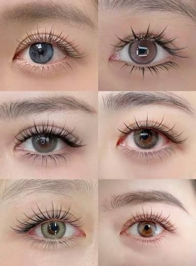 Các kiểu mi được yêu thích