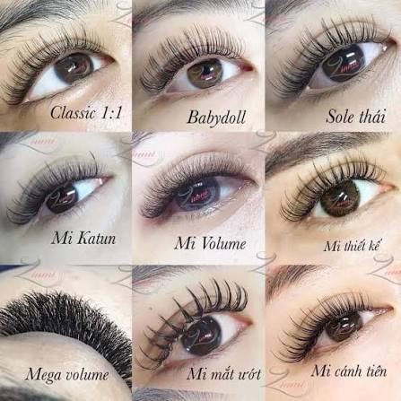 Các kiểu nối mi được yêu thích 